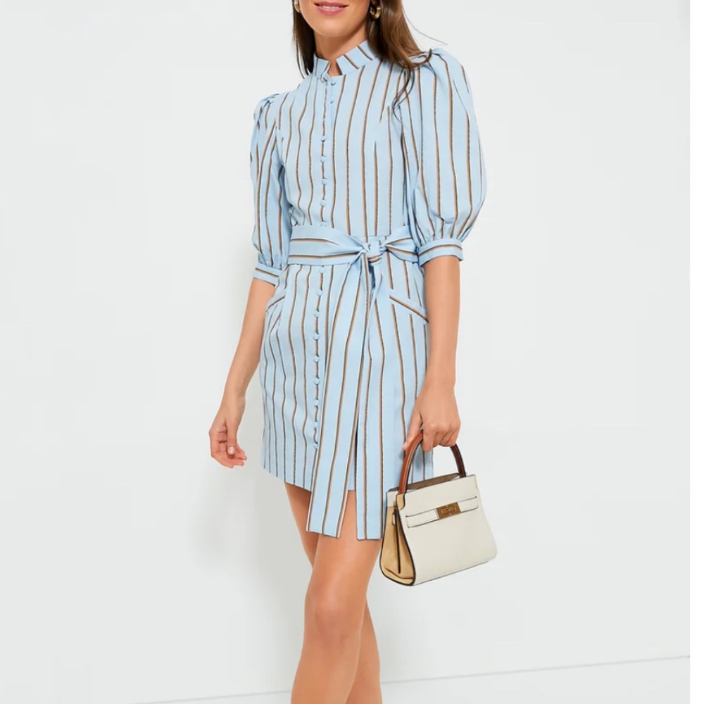 NWT Destree Celeste and Camel Amoako Short Stripes Dress